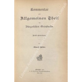 Kommentar zum allgemeinen theil