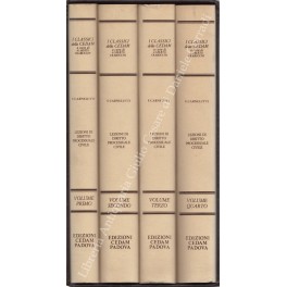 Lezioni di diritto processuale civile