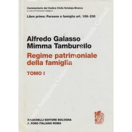Del regime patrimoniale della famiglia