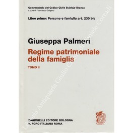 Del regime patrimoniale della famiglia. Art. 230 bis Del regime patrimoniale della famiglia. Art. 230 bis