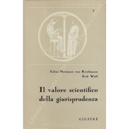 Il valore scientifico della giurisprudenza