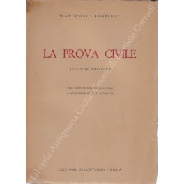 La prova civile