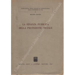 La finanza pubblica della protezione sociale