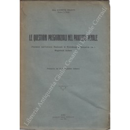 Le questioni pregiudiziali nel processo penale Le questioni pregiudiziali nel processo penale