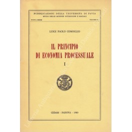 Il principio di economia processuale