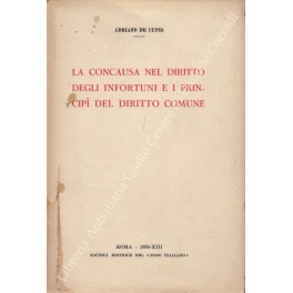 La concausa nel diritto degli infortuni La concausa nel diritto degli infortuni