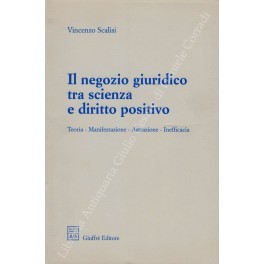 Il negozio giuridico tra scienza e diritto positivo