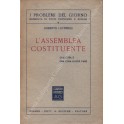 L'assemblea costituente