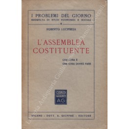 L'assemblea costituente