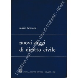 Nuovi saggi di diritto civile