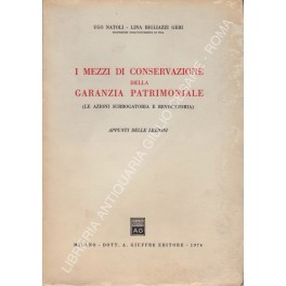 I mezzi di conservazione della garanzia patrimoniale