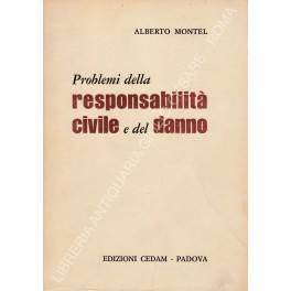 Problemi della responsabilit&agrave; civile e del danno