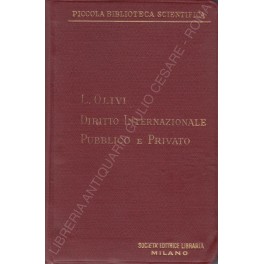 Manuale di diritto internazionale pubblico e privato