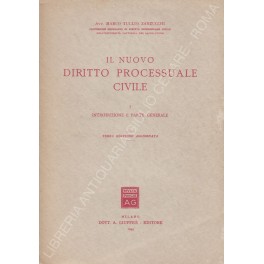 Il nuovo diritto processuale civile