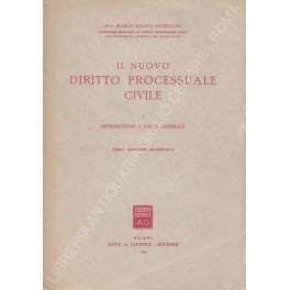 Il nuovo diritto processuale civile