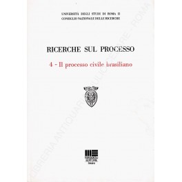 Ricerche sul processo