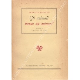 Gli animali hanno un'anima?