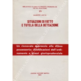 Situazioni di fatto e tutela della detenzione