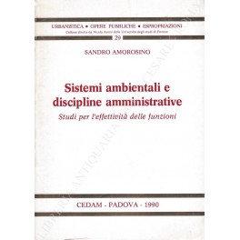 Il coordinamento amministrativo della ricostruzion Il coordinamento amministrativo della ricostruzion