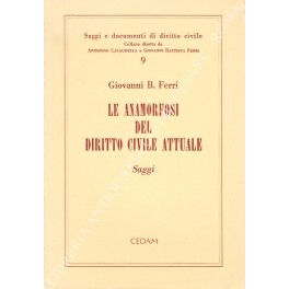 Le anamorfosi del diritto civile attuale