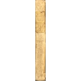 Delle notizie del bello
