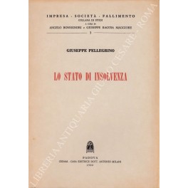 Lo stato di insolvenza