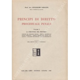 Principi di diritto processuale penale italiano
