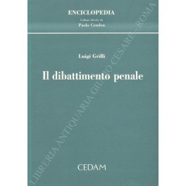 Il dibattimento penale