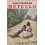Metello