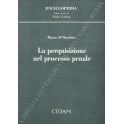 La perquisizione nel processo penale