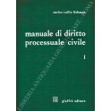 Manuale di diritto processuale civile