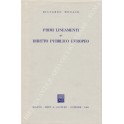 Primi lineamenti di diritto pubblico europeo