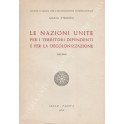 L'Italia e l'anno internazionale dei diritti dell'uomo