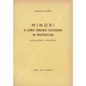 Minori e loro organi giudiziari di protezione