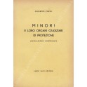 Minori e loro organi giudiziari di protezione