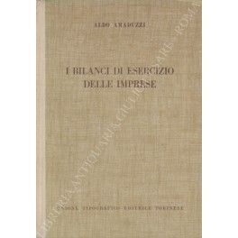 I bilanci di esercizio delle imprese