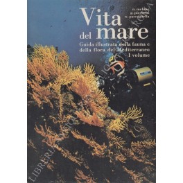 Vita del mare