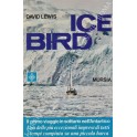 Ice bird