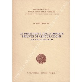 Le dimensioni delle imprese private di assicurazione Le dimensioni delle imprese private di assicurazione