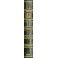 Compendio pratico delle malattie cutanee