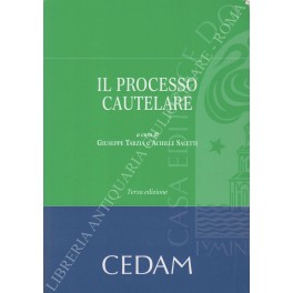 Il processo cautelare