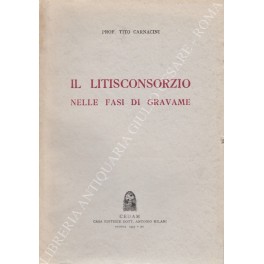 Il litisconsorzio nelle fasi di gravame