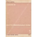 Lezioni di diritto processuale civile