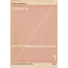 Lezioni di diritto processuale civile