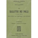 Le malattie dei polli e degli altri volatili da cortile e di lusso