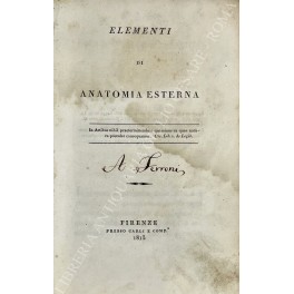 Elementi di anatomia esterna