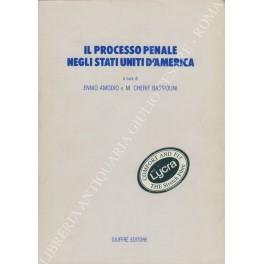 Il processo penale negli Stati Uniti d'America