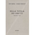 Della tutela dei diritti. Trascrizione - Prove