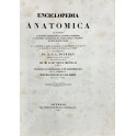 Enciclopedia anatomica