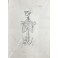 Tavole anatomiche ad uso dei pittori, scultori ed altri artisti